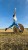 IMG_7335.JPEG