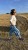IMG_7359.JPEG