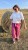 IMG_7233.JPEG