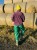 IMG_6037.JPEG