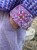 IMG_5422.JPEG