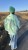 IMG_1033.JPEG