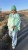 IMG_1050.JPEG