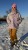 IMG_6679.JPEG