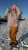 IMG_6684.JPEG