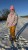 IMG_6688.JPEG