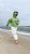 IMG_2724.JPEG