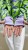 IMG_2743.JPEG