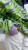 IMG_2744.JPEG