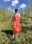 IMG_3635.jpeg