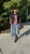 IMG_4680.JPEG