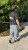 IMG_4683.JPEG
