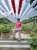 IMG_6262 (1).JPEG