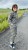 IMG_0292.JPEG