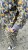 IMG_0319.JPEG