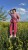 IMG_5139.JPEG