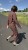 IMG_1270.JPEG
