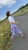IMG_5133.JPEG