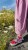 IMG_5032.JPEG